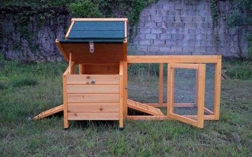 Grand Poulailler Xl 1215 Poules Bois Solide Livré En Kit